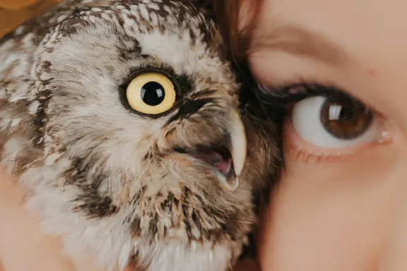 Kasino Welcome Bingo Tuki